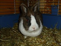Bild: Kleine Racker