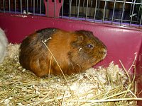 Bild: Kleine Racker