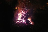 Bild: Knutfest in Bielen