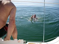 Bild: Quartett auf "hoher See"