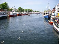 Bild: Quartett auf "hoher See"