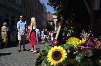 Bild: 