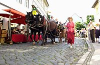 Bild: 