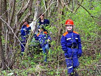 Bild: Saubere Stunde in Harztor