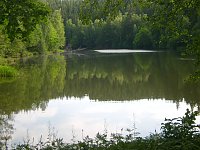 Bild: Immer an der Selke entlang