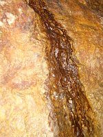 Bild: Immer an der Selke entlang