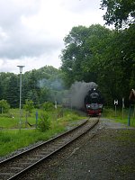 Bild: Immer an der Selke entlang
