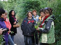 Bild: Kr&auml;uterwanderung