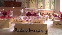 Bild: Fuchsien in der Traditionsbrennerei