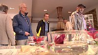 Bild: Fuchsien in der Traditionsbrennerei