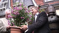 Bild: Fuchsien in der Traditionsbrennerei