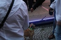 Bild: Am Zierbrunnen getanzt