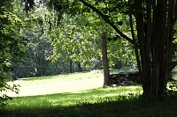 Bild: Sonntags im Park