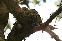 Bild: Sonntags im Park