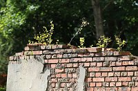 Bild: Sonntags im Park
