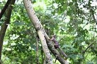 Bild: Sonntags im Park