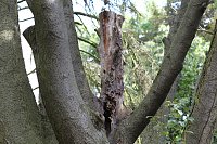 Bild: Sonntags im Park