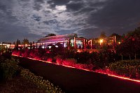 Bild: Botanischer Garten im Lichtermeer