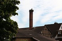 Bild: Abgelichtet