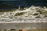 Bild: Urlaub