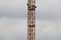 Bild: Unterwegs: Die Nummer 1