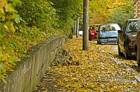 Herbst Bild: Herbst