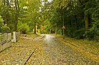Herbst Bild: Herbst