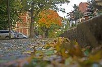 Herbst Bild: Herbst