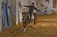Reiten als Therapie Bild: Reiten als Therapie
