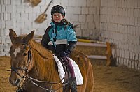 Reiten als Therapie Bild: Reiten als Therapie