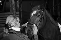 Reiten als Therapie Bild: Reiten als Therapie