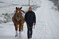 Reiten als Therapie Bild: Reiten als Therapie