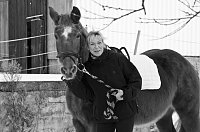 Reiten als Therapie Bild: Reiten als Therapie
