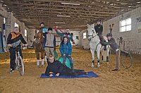 Reiten als Therapie Bild: Reiten als Therapie