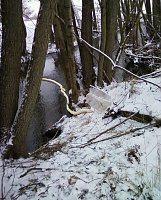 Ölschlängel im Einsatz Bild: Ölschlängel im Einsatz