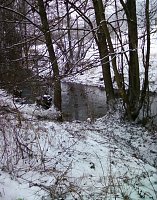 Unfallstelle Bild: Unfallstelle