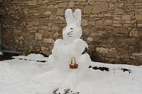 Schneehase in Mackenrode Bild: Schneehase in Mackenrode