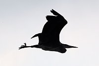 Familie unterwegs Bild: Familie unterwegs