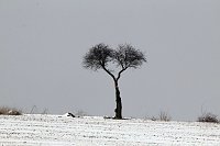 Familie unterwegs Bild: Familie unterwegs