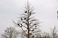Ostern auf den Petersberg Bild: Ostern auf den Petersberg
