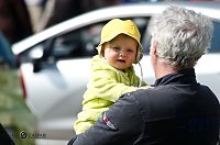 Bild: Autofr&uuml;hling
