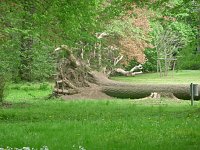 Bild: Unterwegs zum Vatertag
