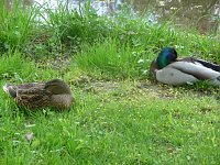 Bild: Unterwegs zum Vatertag