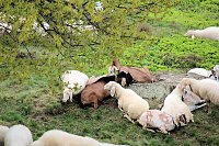 Bild: Die Gegensteine