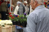 Bild: Zwischen Blumen und Fisch