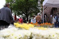 Bild: Zwischen Blumen und Fisch