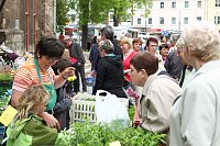 Bild: Zwischen Blumen und Fisch