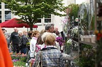 Bild: Zwischen Blumen und Fisch