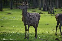 Bild: Possen