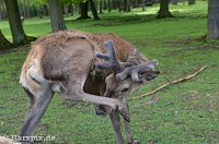 Bild: Possen